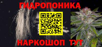 стаф Будённовск