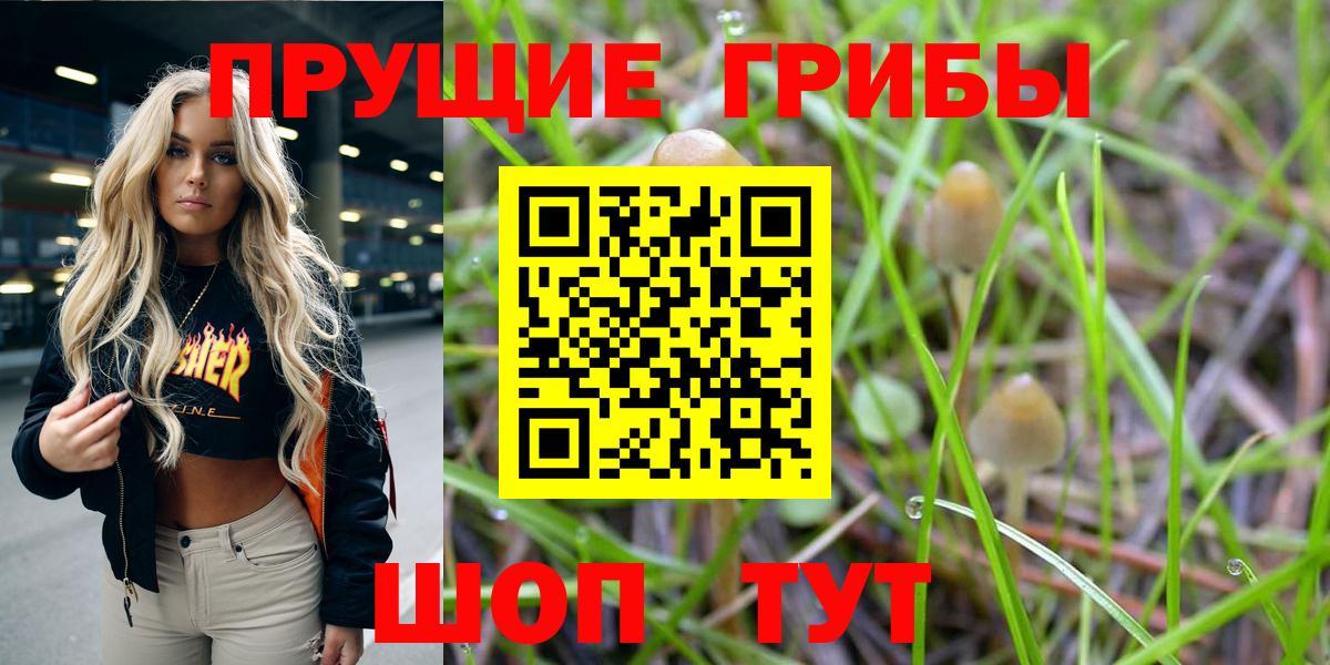 Галлюциногенные грибы Magic Shrooms Мегион